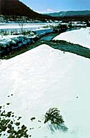 西野川の冬