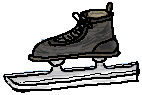 スピードスケート靴